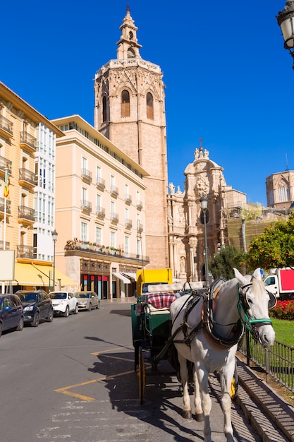 Cattedrale di Valencia e Miguelete a Plaza de la Reina