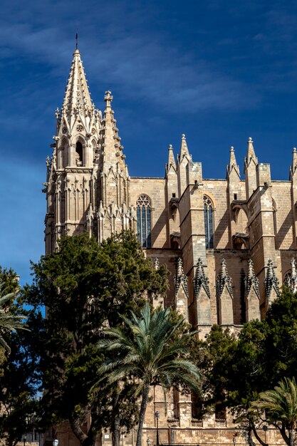 Cattedrale La Seu Palma di Maiorca