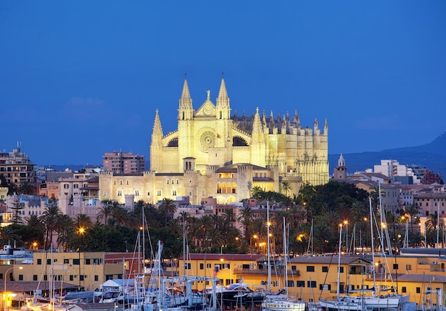 Cattedrale Seu Seo di Palma de Mallorca