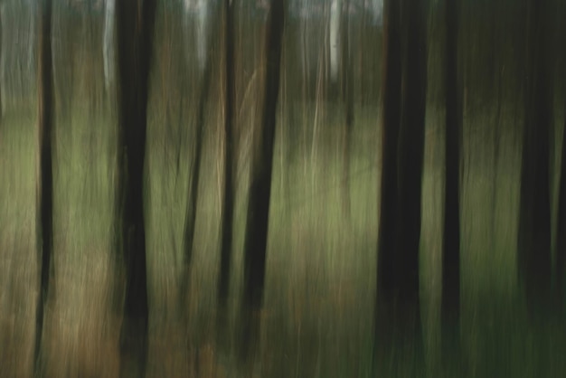 Cattura l'essenza della primavera con la nostra collezione di scatti a lunga esposizione dell'albero vibrante