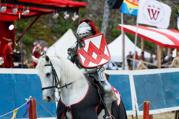 Cavaliere in armatura medievale a cavallo. Foto di alta qualità