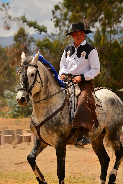 Cavaliere in dressage