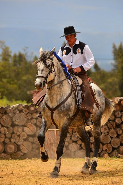 Cavaliere in dressage