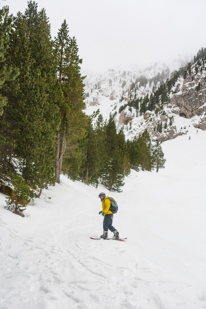 Cavaliere libero che si gode la neve