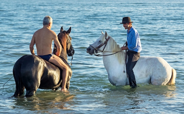 cavalieri e cavalli nel mare