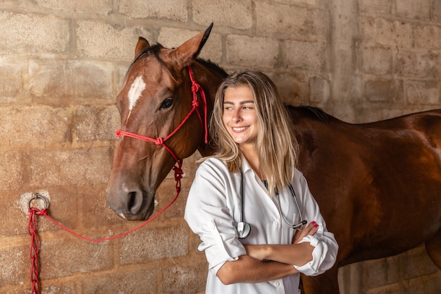 Cavallo d&#39;esame veterinario.