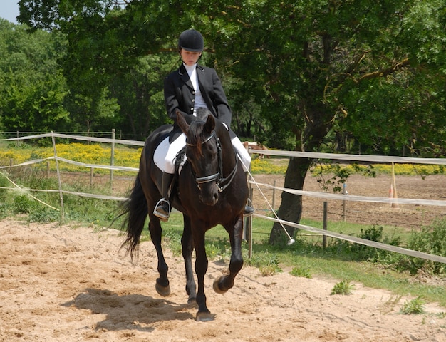 Cavallo e donna in dressage