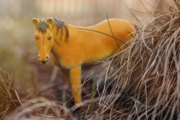 Cavallo giocattolo in natura fotografato come reale tra l'erba secca come pagliai