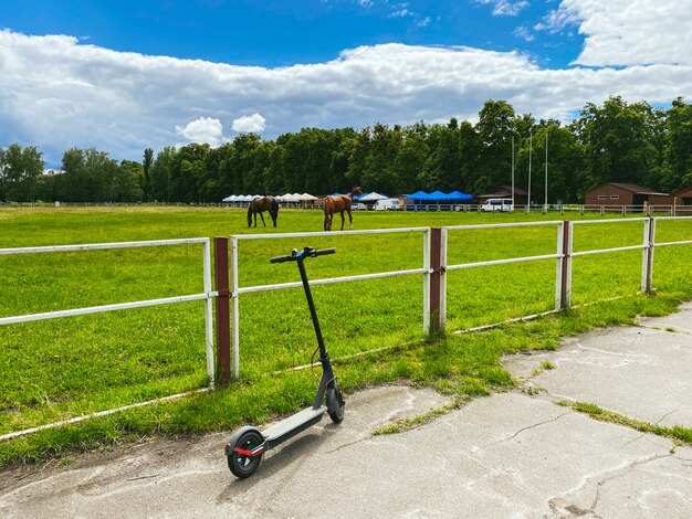 Cavallo nell'arena. Nella stalla c'è un bellissimo cavallo bianco.