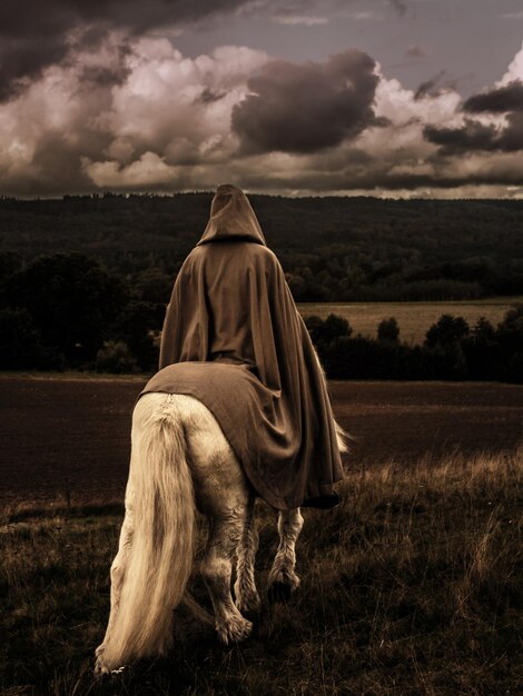 Cavallo seduto sul campo contro il cielo