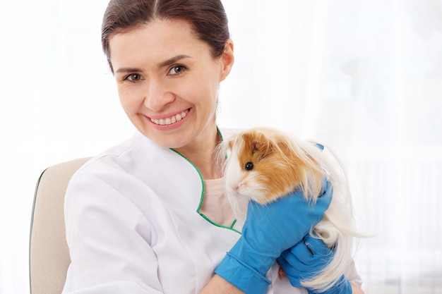 Cavia in clinica veterinaria