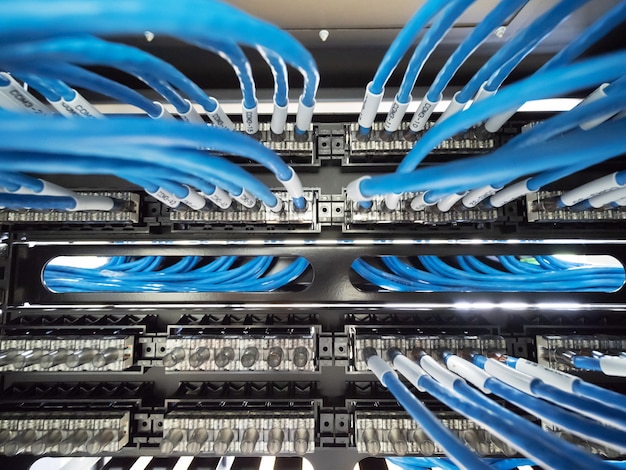 Cavo di rete e pannello patch nell'armadio rack