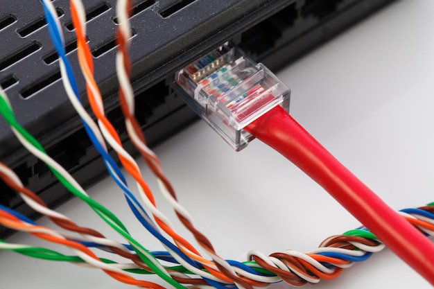 Cavo elettronico Muticolor e connessione lan