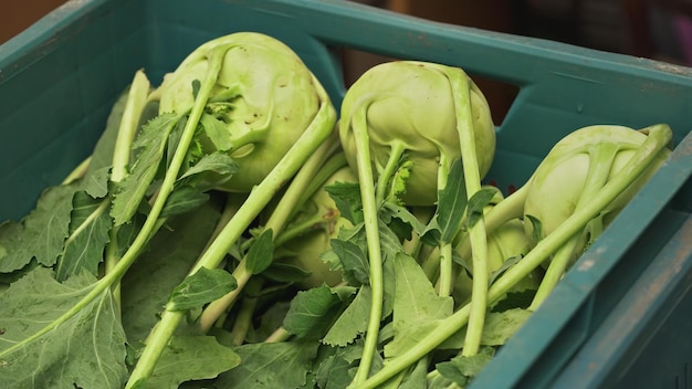 Cavolo rapa - rapa di cavolo tedesco - verdure con foglie verdi in scatola di plastica blu esposta al mercato alimentare
