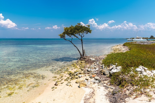 Cayo Blanco, Cuba