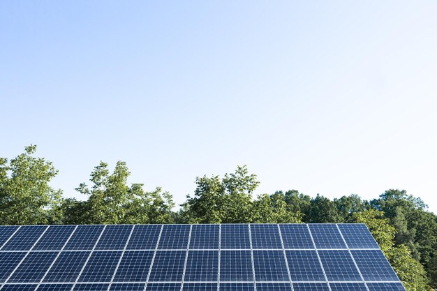 Cella solare a pannelli solari in fattoria solare con illuminazione solare per creare energia elettrica pulita