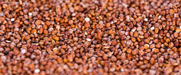 Cenni storici rossi della quinoa