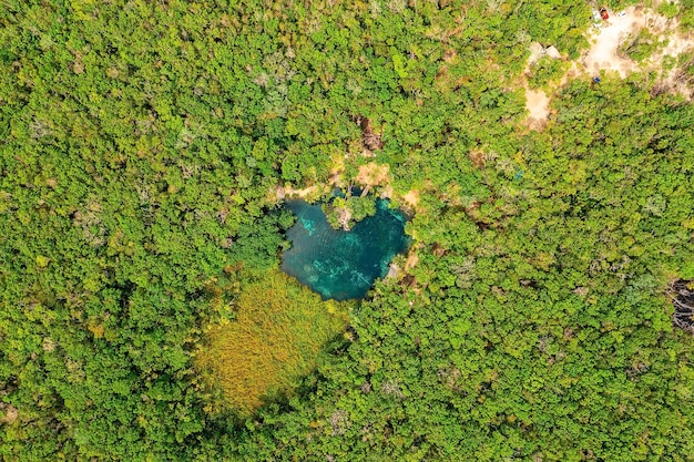 Cenote a forma di cuore nel mezzo di una giungla a Tulum in Messico