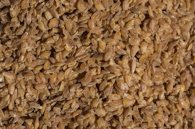 Centinaia di chicchi di orzo marrone in esposizione