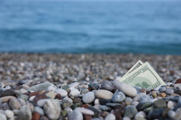 Cento dollari per metà ricoperti di rocce rotonde giacciono sulla spiaggia