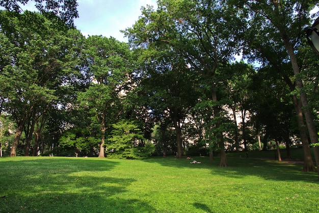 Central Park a New York