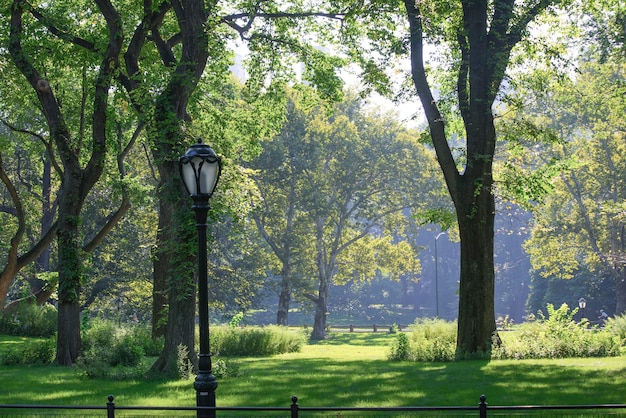 Central Park di New York