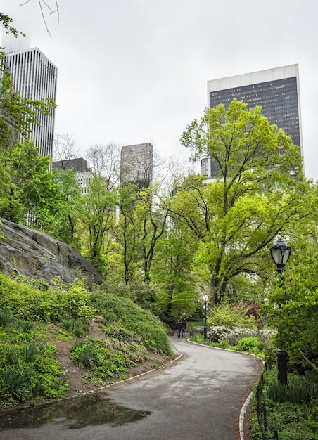 Central Park e Manhattan Skyline a New York