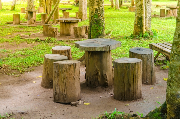 Ceppi posti nel parco, mobili da giardino realizzati in legno