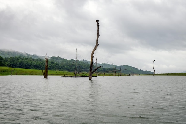 Ceppo di lago nuvoloso e piovoso