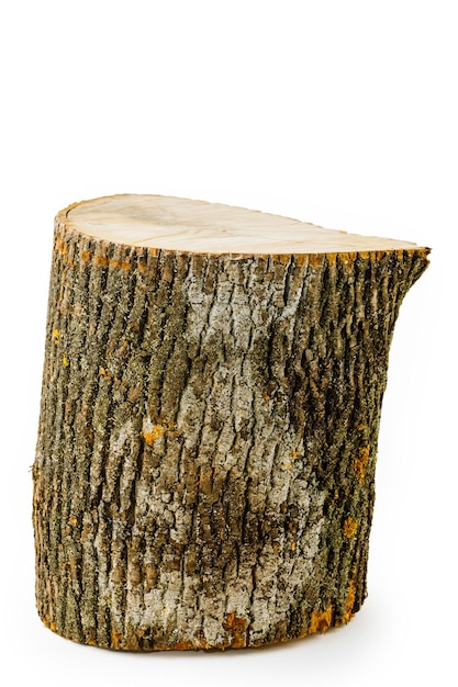 Ceppo di legno isolato su priorità bassa bianca. Albero di tronchi rotondo con anelli annuali sotto forma di struttura di legno.