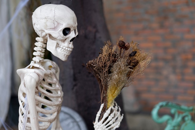 Ceramic skull with pumpkin concept on copy space.