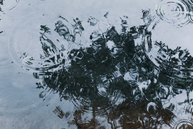 Cerchi da gocce di pioggia sulla superficie dell'acqua di uno stagno poco profondo