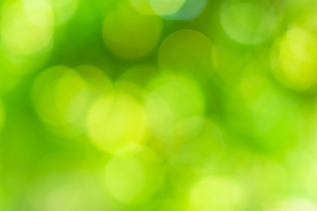 Cerchi di bokeh sfocati da luce naturale verde