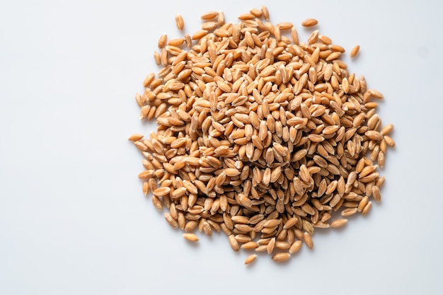 Cereali di farro