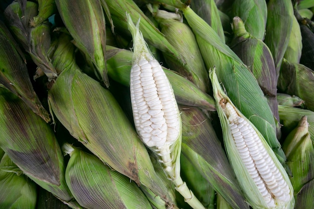 Cereali di mais in una bancarella nel mercato centrale delle frutta e delle verdure di Cusco, in Perù