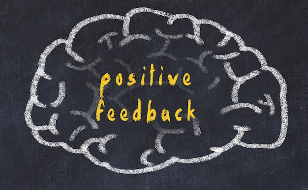 cervello con iscrizione feedback positivo
