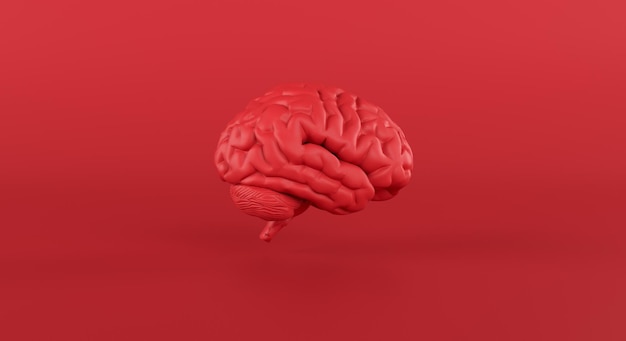 Cervello rosso in visualizzazione diapositiva su sfondo studio minimo, pensiero, idea appassionata, affari. rendering 3D.