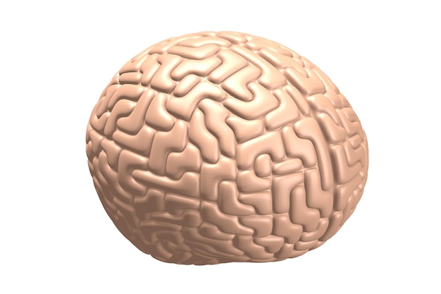 Cervello umano 3D isolato su sfondo bianco ottimo per argomenti come essere intelligenti ecc