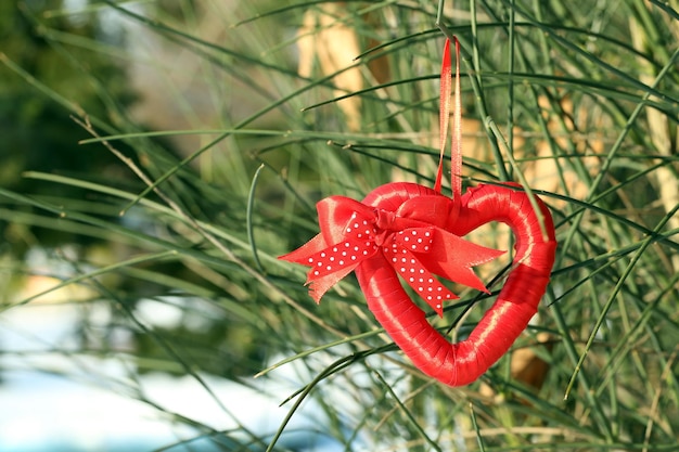 Cespuglio con decorazione a cuore sullo sfondo della natura