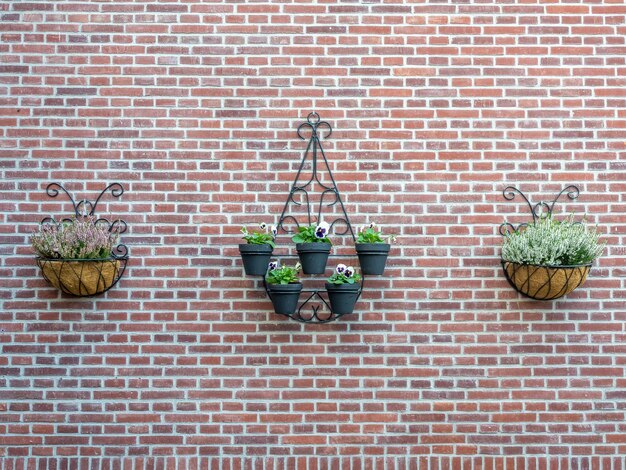 Cestini di fiori appesi al muro di mattoni per lo sfondo