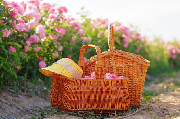 Cestino con fiore di rose olio rosa.