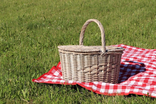 Cestino da picnic con tovaglia a scacchi su erba verde all'aperto spazio per il testo