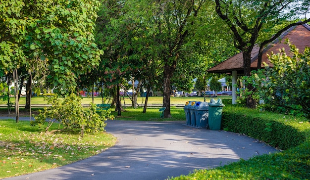 Cestino in un parco con l&#39;albero e le piante verdi in parco pubblico