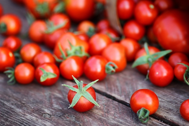 Cestino rustico di pomodoro fresco su legno