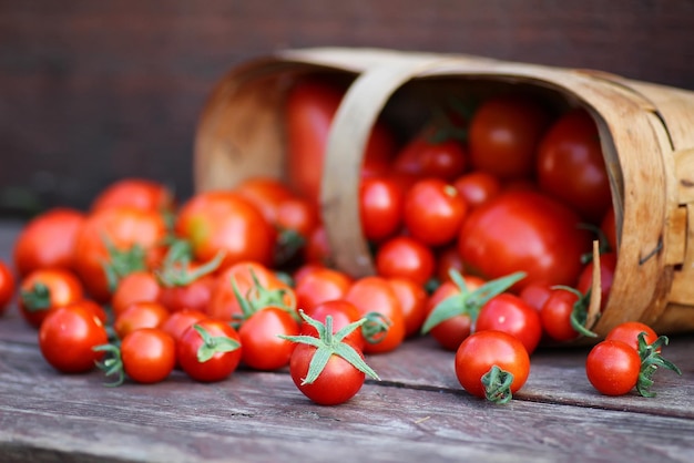 Cestino rustico di pomodoro fresco su legno