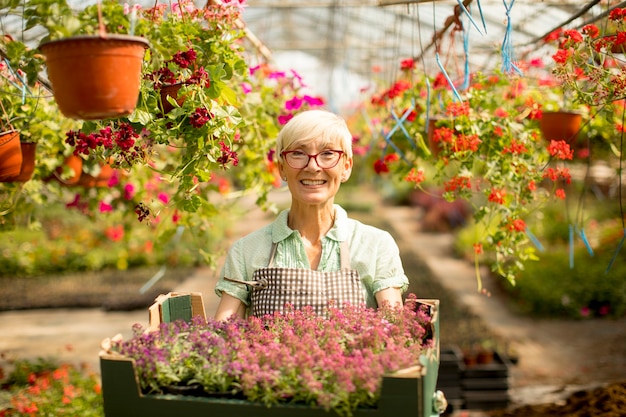 Cestino senior della tenuta della donna in pieno dei fiori