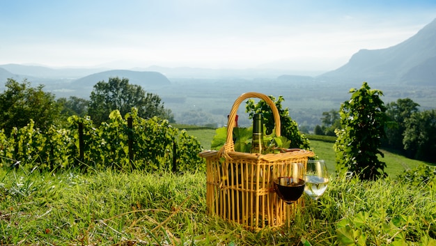 Cesto con bottiglie di vino nei vigneti