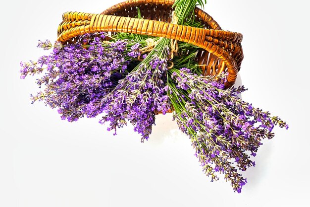 Cesto con bouquet di fiori di lavanda isolato su sfondo bianco