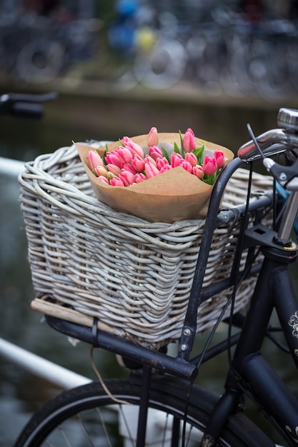 Cesto con tulipani in bici all'Amsterdam