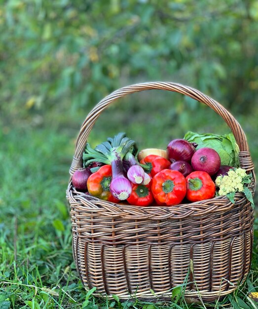 cesto di verdure fresche e biologiche